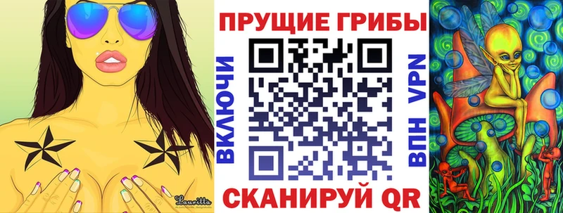 Псилоцибиновые грибы Cubensis  Великие Луки 